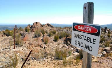 Canaries in the Coal Mine: Dara Horn and Bari Weiss