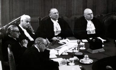 Some Key Founders of the International Human Rights Movement Were Also Zionists