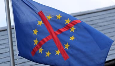 Why Were Euroskeptics Ignored?