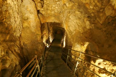 The Parking Lot That Determined the Future of Jerusalem’s Past